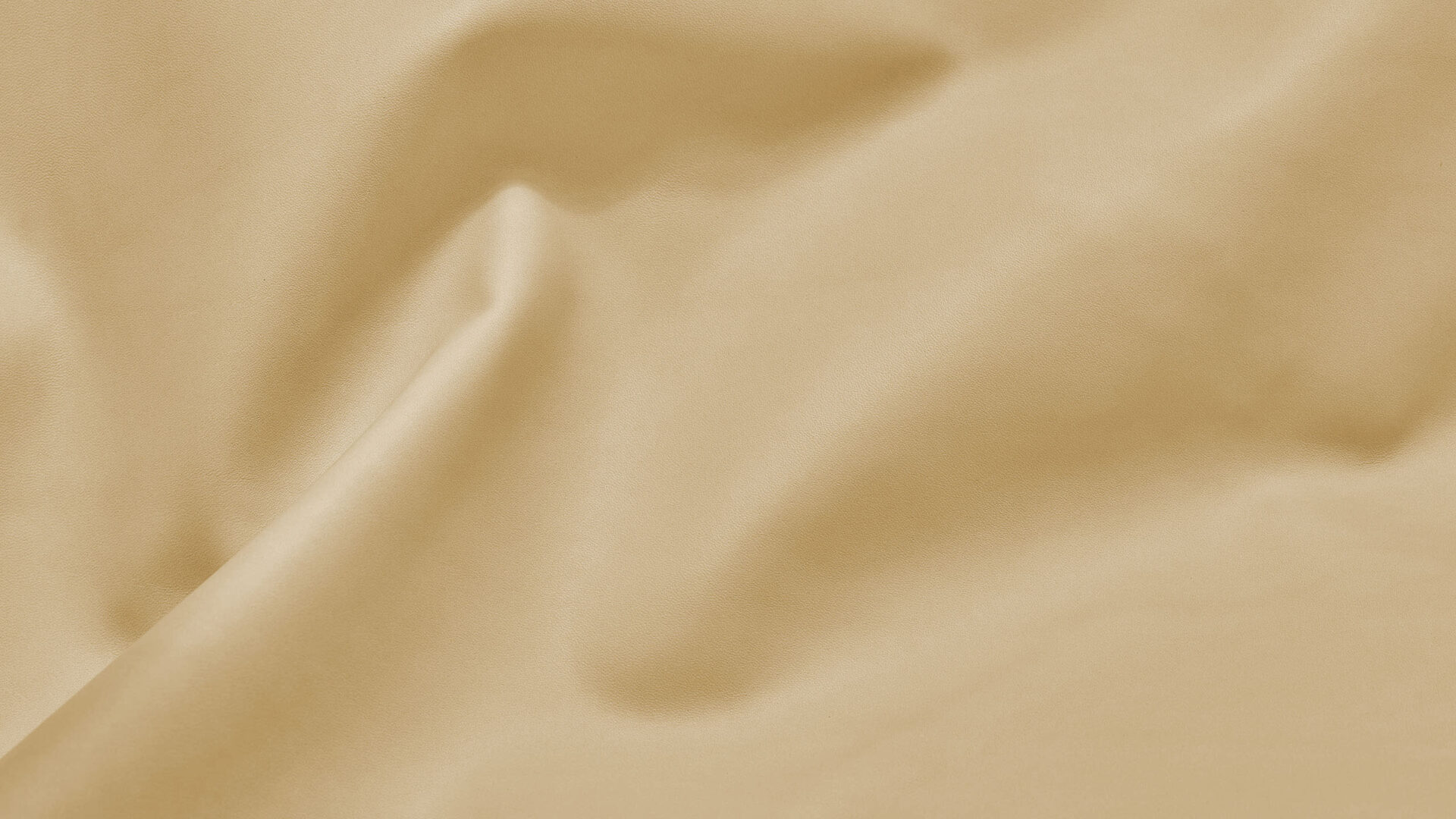 product foto